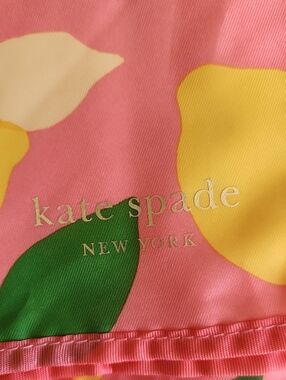 Kate Spade Pink Lemon Themed Picnic Blank